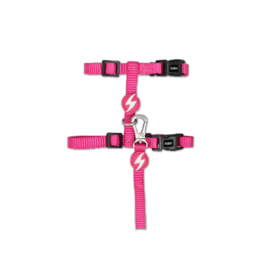 Dashi Solid Pink Cat Harness + Leash