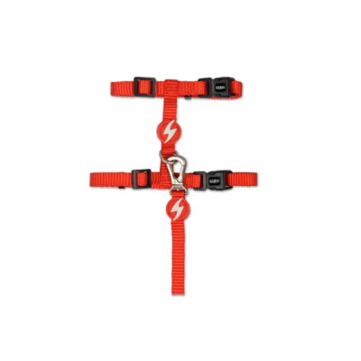 Dashi Solid Red Cat Harness + Leash
