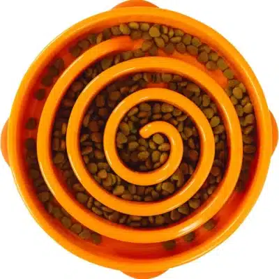Comedouro Slow Laranja L