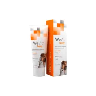 WeVit Tasty 100ml