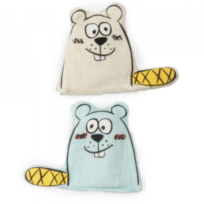 AFP Cat Catoon Curious Twin Beavers 6.5×8.7cm