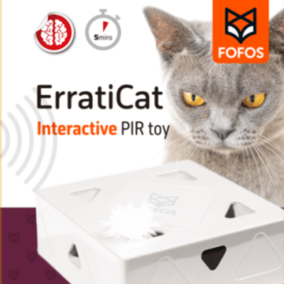 Brinquedos com Penas Interativo para Gatos com 6 peças | FOFOS