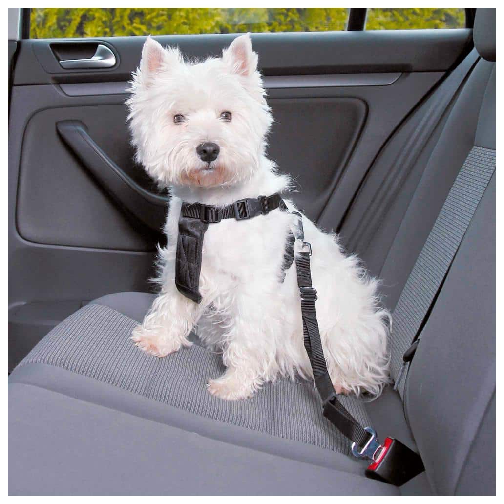 TX1288.jpg-1032x1032